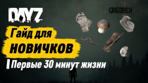 DayZ ГАЙД ДЛЯ НОВИЧКА первые 30 минут жизни