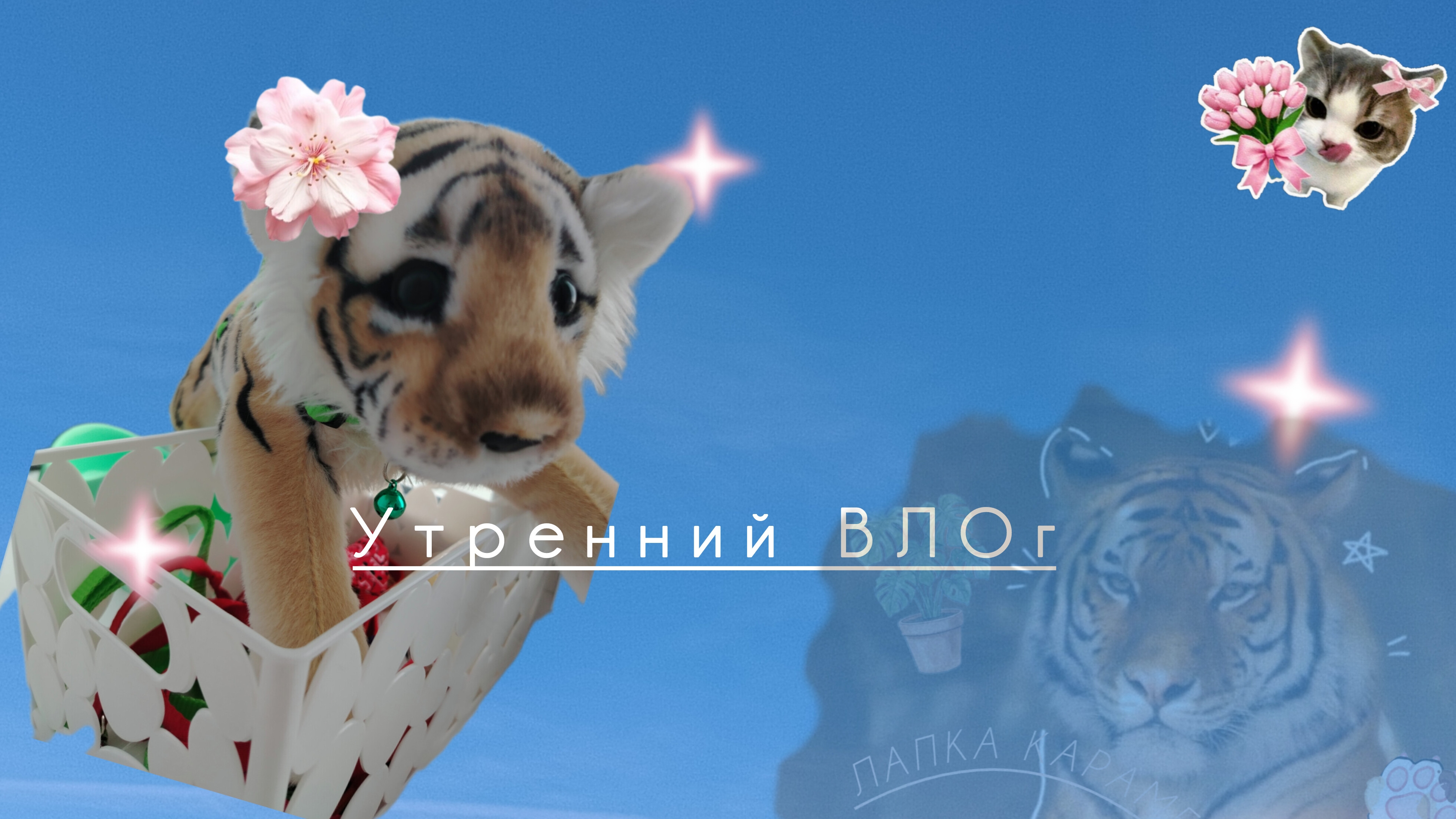 УТРЕНИЙ ВЛОГ С МЯТОЙ🌿🌇