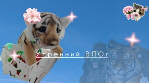 УТРЕНИЙ ВЛОГ С МЯТОЙ🌿🌇