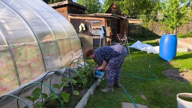 Моя повседневная дачная жизнь.