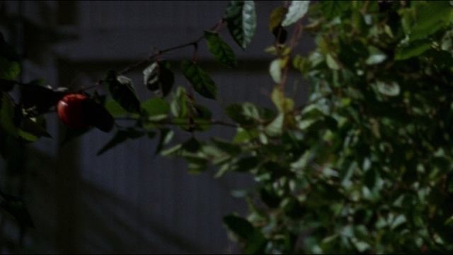 Последний ужин (фильм, 1995)