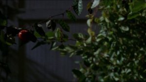 Последний ужин (фильм, 1995)
