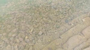 Прогулка по парку