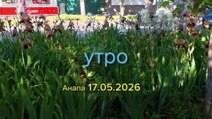 Анапа 17.05.2026 утро