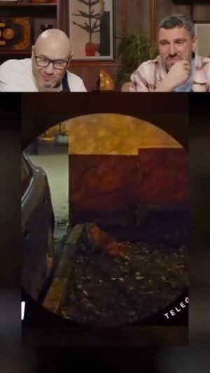 Видео от Департамент Вирусного Контента | ДВК