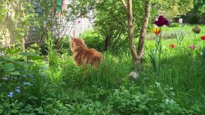 Тёплый май. Warm May