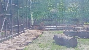 -16.05.2026-Видео от Ивана