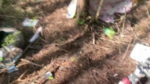 ОБЗОР НА НАШ ШАЛАШ В ЛЕСА !