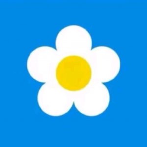 Вылечу твои болячки