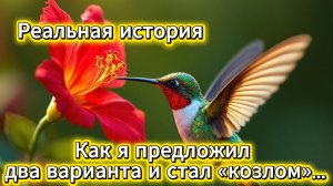 Реальная история: как я предложил два варианта и стал «козлом» | Домохозяйка