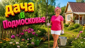 Влог из Можайска 🌸Дача в Подмосковье.Жду гостей 🤗