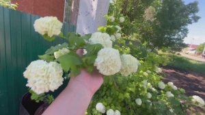 Дела домашние// 💁🌸