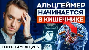 Жирная пища разрушает мозг? Разбираем новые исследования в области питания
