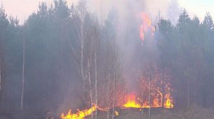 В Сибири и на Дальнем Востоке природные пожары охватывают новые территории.