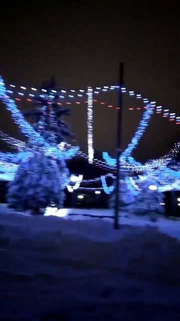 новогодний парк 21.12.2022