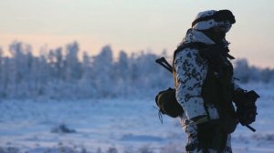 Ночь и огонь (Suno AI)