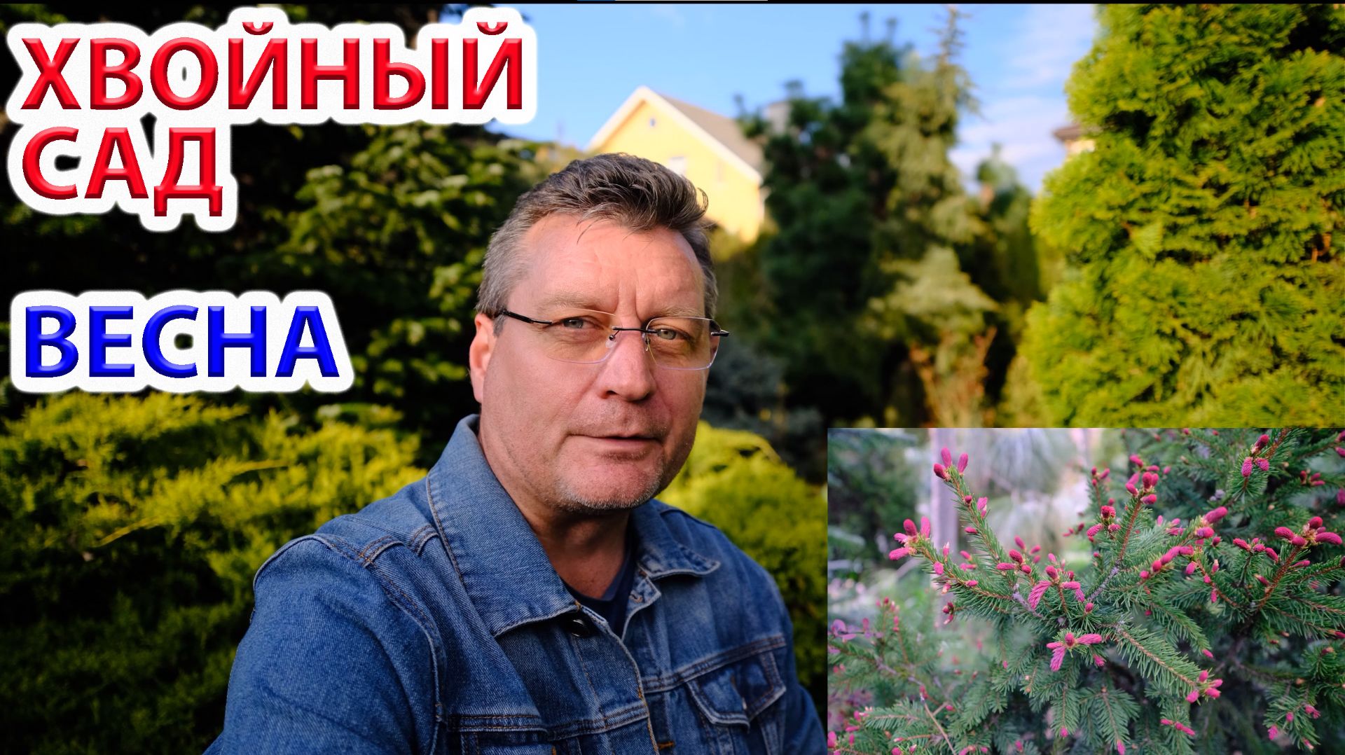 Хвойный сад просыпается — что уже видно