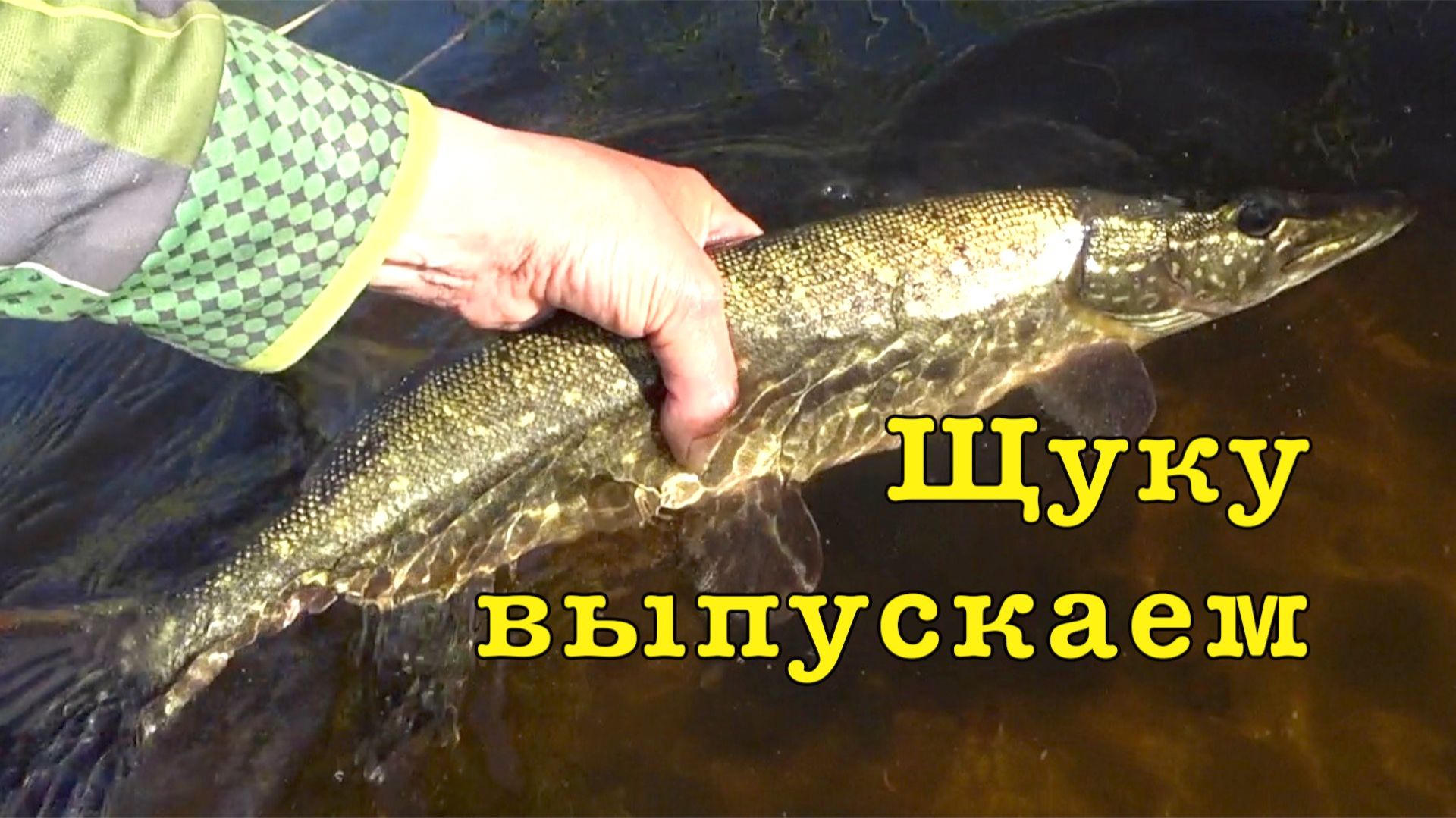 Щука на ВОБЛЕРЫ. Проверка точек. смотреть онлайн