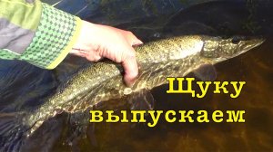 Щука на ВОБЛЕРЫ. Проверка точек.