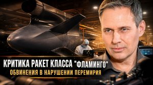 Александр Артамонов | Критика ракет класса «Фламинго». Обвинения в нарушении перемирия