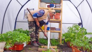 НАСТОЯЩАЯ ЖИЗНЬ,ДЕРЕВЕНСКИЙ ВЛОГ,АЛТАЙ