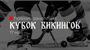 Кубок викингов 17 мая 2026