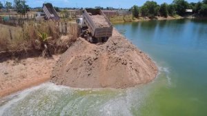 OMG !! Process delete deep pond using soilrock by expert driver dozer with 10Ton dump trucks