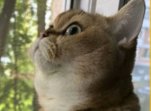 МОЙ СЕГОДНЯШНИЙ ВЫЗОВ