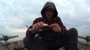 Хорошая рыбалка в Зеленогорске 17.5.26.