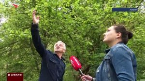 Кадры с медведями все чаще появляются в Северной Осетии