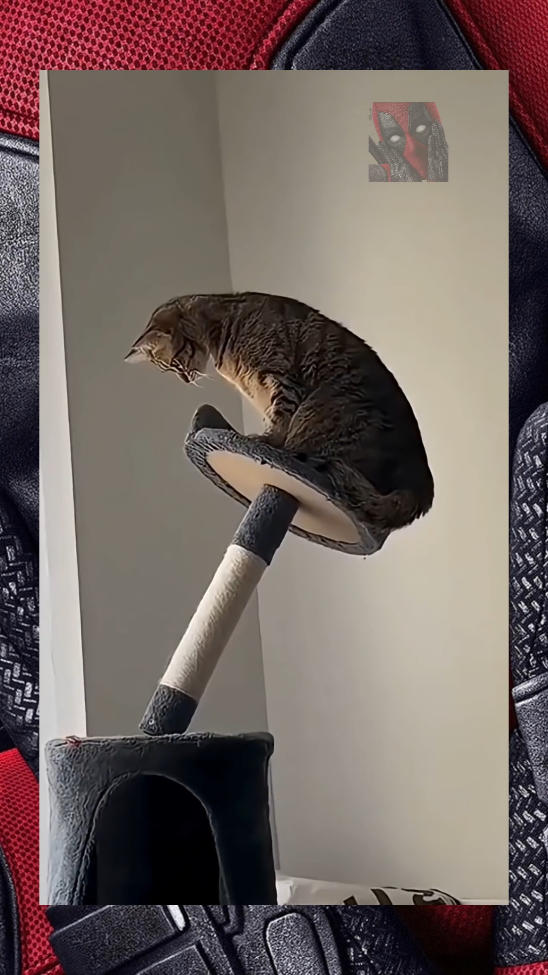 Это совсем не смешно и очень не приятно 😼🫶😎