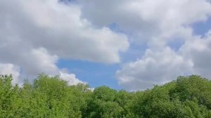 Брелочный Бум // Природа // Готовые работы
