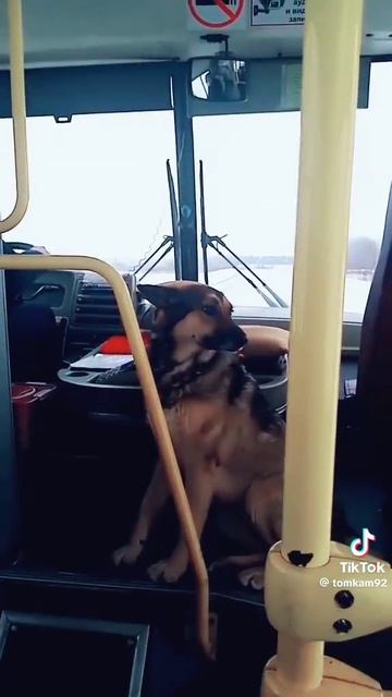 1000017954.mp4