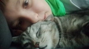 моя котость