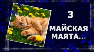Майская маята. Наконец-то Невязун решил уйти.. . #вязание #handmade