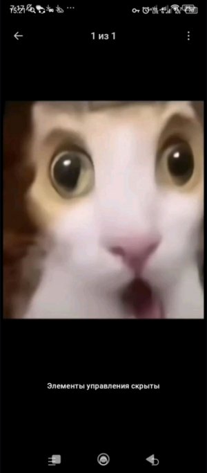 я хз