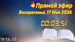 Прямой эфир. Священник Константин Мальцев