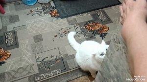 Вот такая красота с утра, милый МАЛЬЧИК