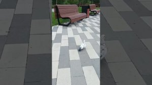 Поездка в Мурманск