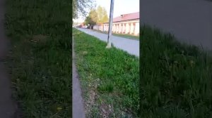 стрим