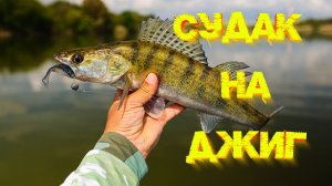 СУДАК на реке ЖРЁТ рабочую ПРИМАНКУ 💪