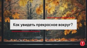 Как увидеть прекрасное вокруг?|Образовательный видеоконтент для детей младшего школьного возраста