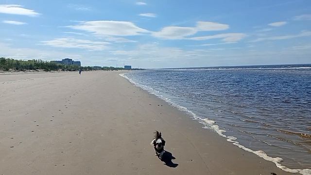 Белое море