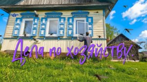 Дела по хозяйству.