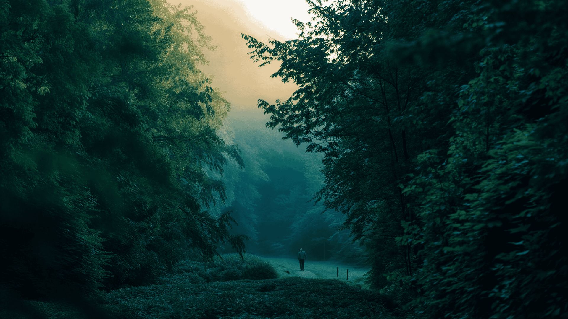 Звуки вечернего леса и Ambient-музыка для сна, расслабления, концентрации и фоновой работы