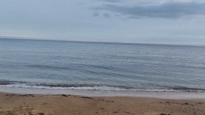 Россия 🇷🇺 Феодосия !!! Весна ☀️🌱🌳 🌲🌿💐🌊🚢 Год 2026