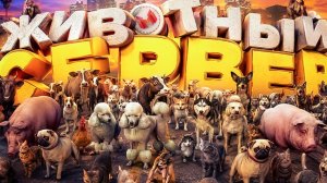Животный сервер! 🐀🐷🐤 (GTARP)
