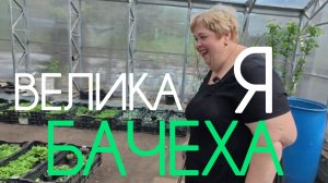 Аналитический обзор на канал Ольга Уралочка live от 16 мая 2026 года. «Великая» Бачеха.