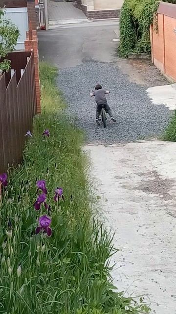 Андрей  пробуй!
