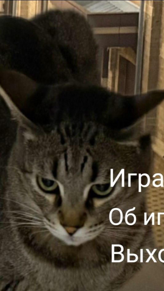Фанаты нуби заметьте... (читайте описание)